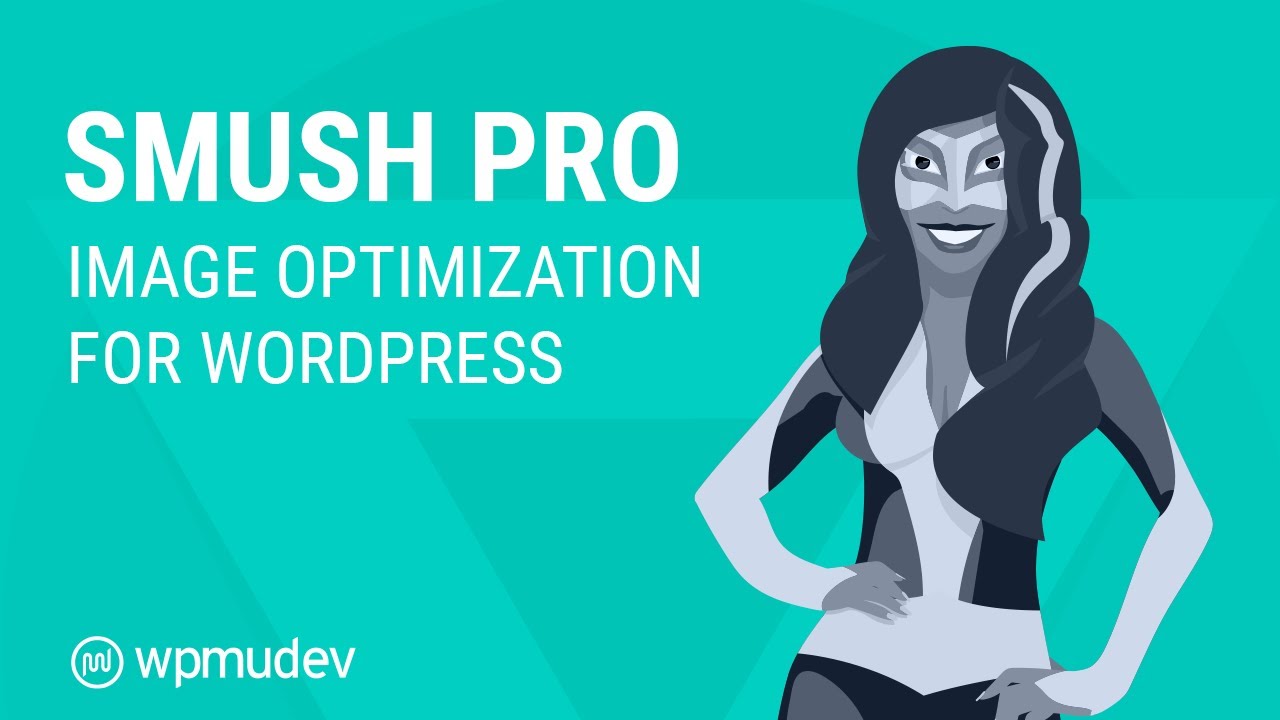 WP Smush Pro v3.16.2汉化版|造物N⁺