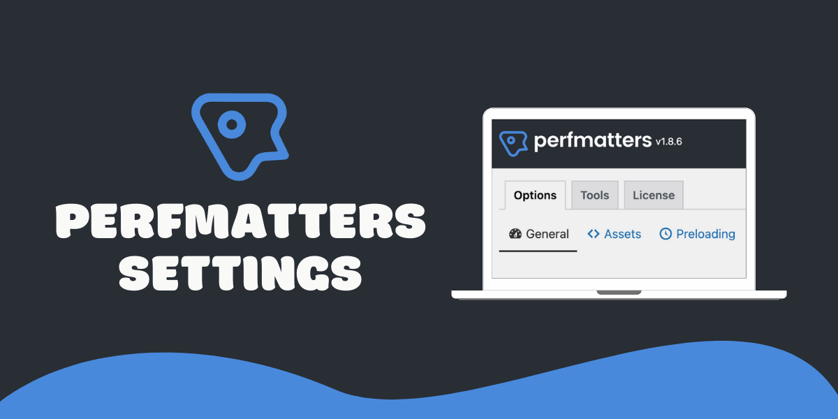Perfmatters 2.4.4 开心版（GPL协议）|造物N⁺